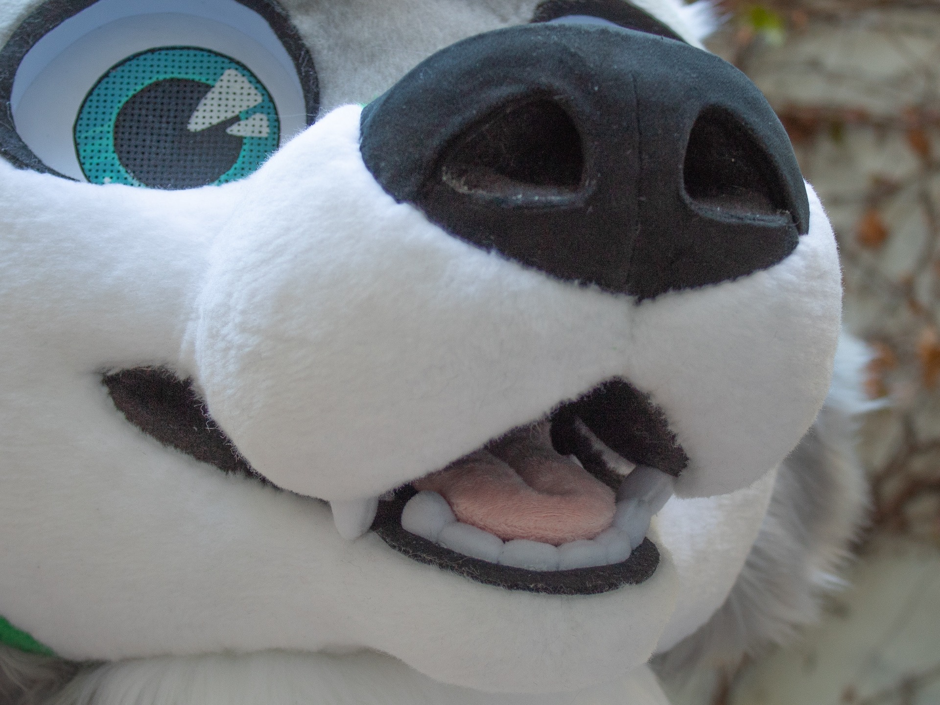 Basic short tongue